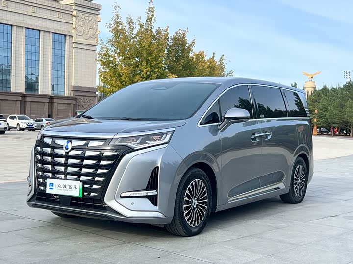 Фото 1 - Denza D9