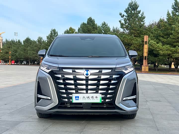 Фото 2 - Denza D9