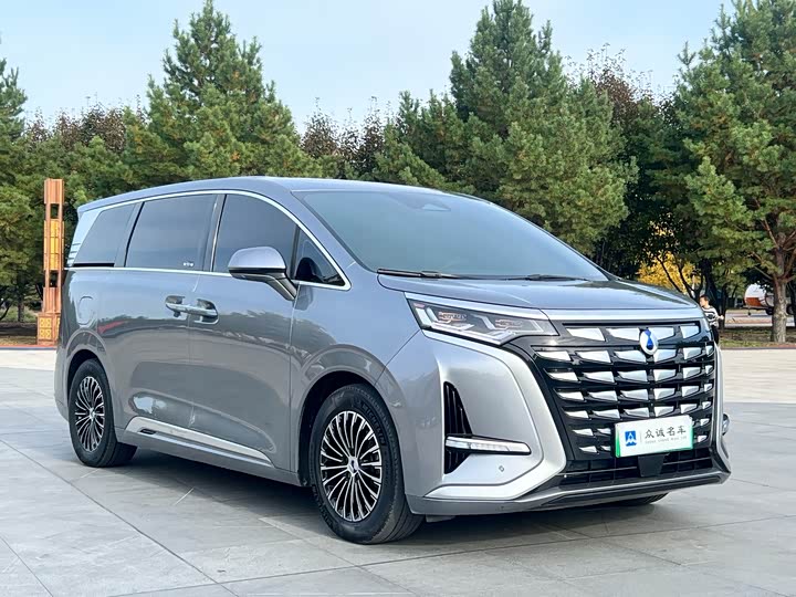 Фото 3 - Denza D9