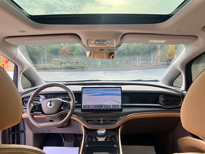 Фото 5 - Denza D9