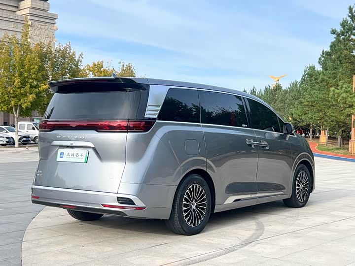 Фото 7 - Denza D9