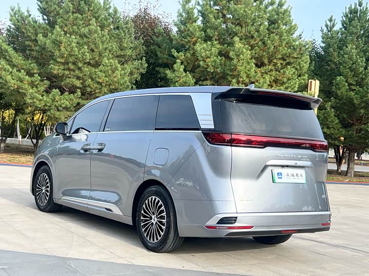 Фото 9 - Denza D9