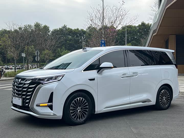 Фото 1 - Denza D9