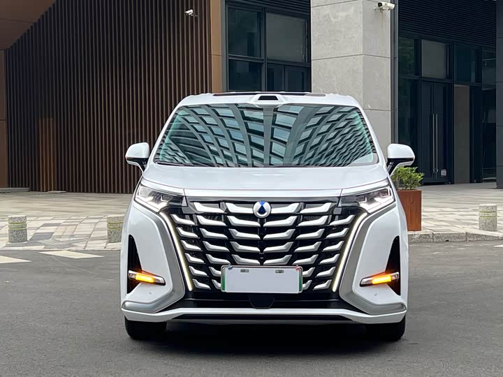 Фото 2 - Denza D9