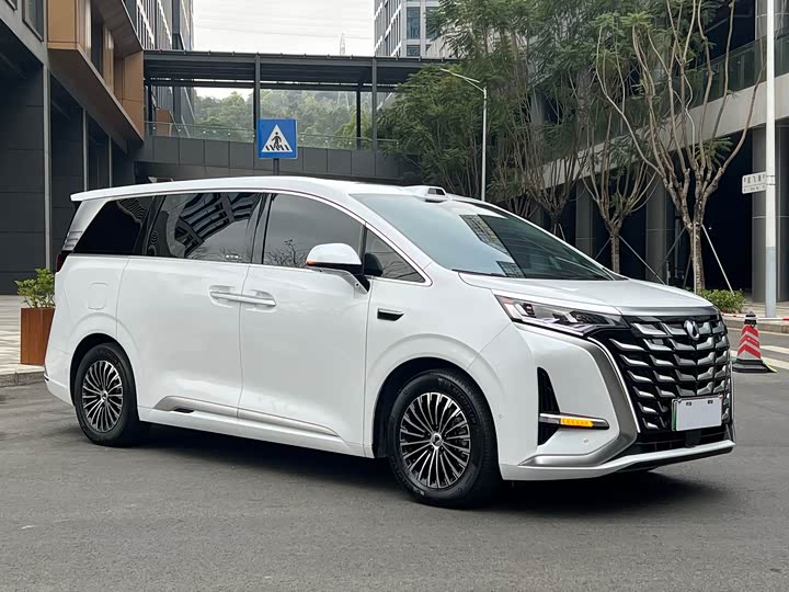 Фото 3 - Denza D9