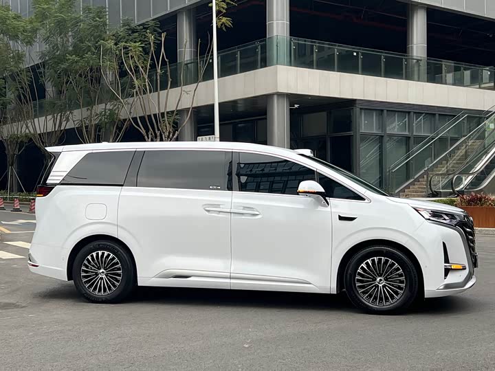 Фото 4 - Denza D9