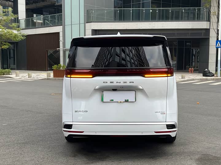 Фото 6 - Denza D9