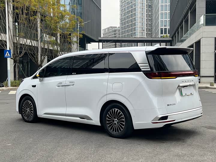 Фото 7 - Denza D9