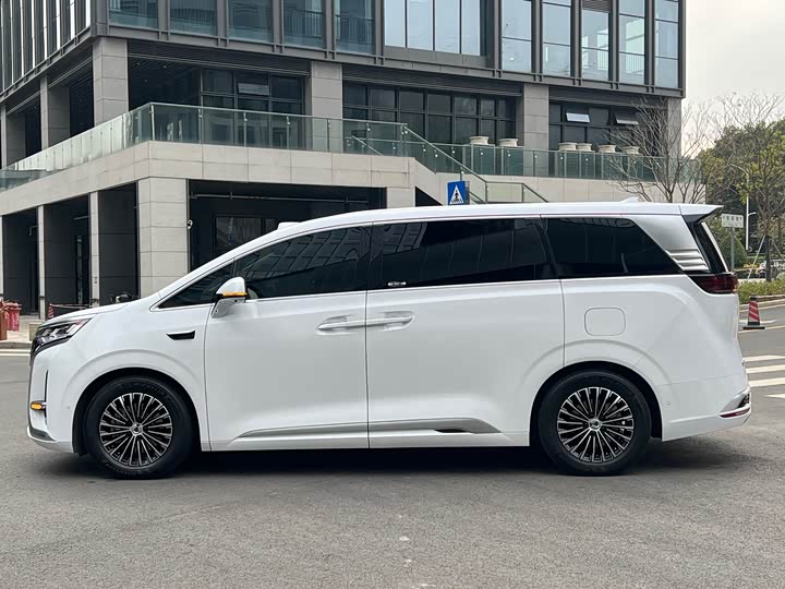 Фото 8 - Denza D9