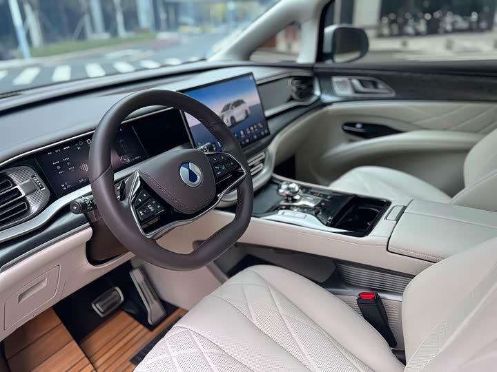 Фото 9 - Denza D9