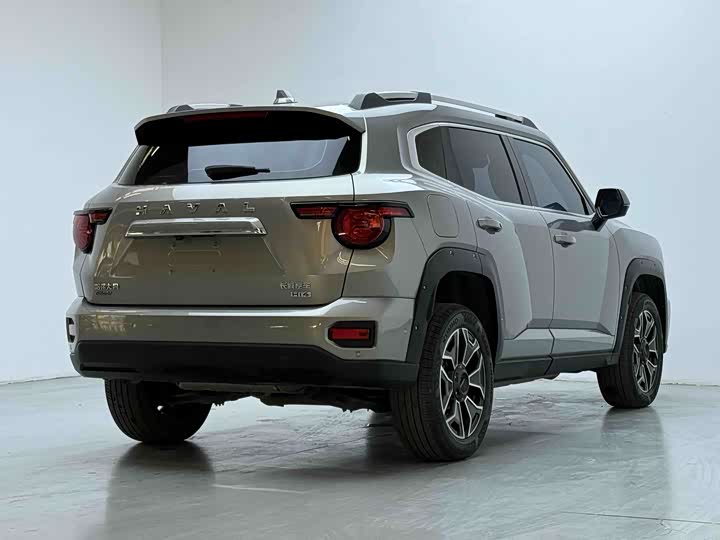 Фото 9 - Haval H-Dog Hybrid