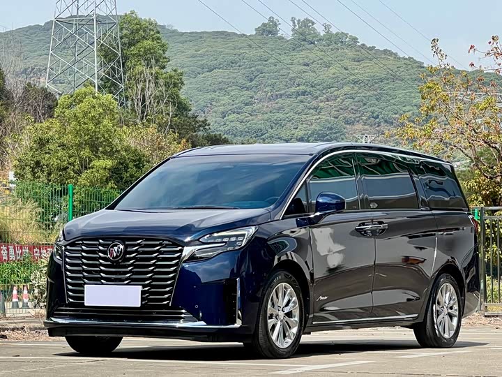 Фото 1 - Buick GL8 ES