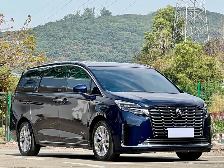 Фото 3 - Buick GL8 ES