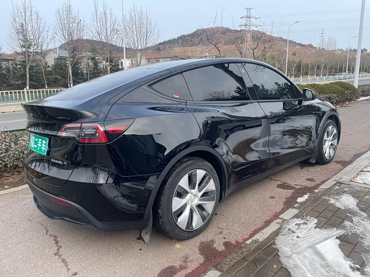 Фото 4 - Tesla Model Y