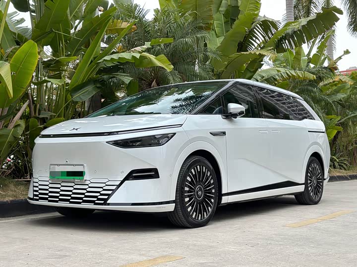 Фото 1 - XPeng X9