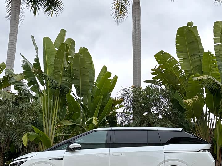 Фото 7 - XPeng X9