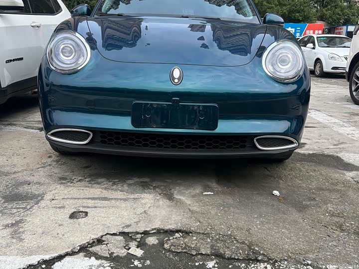 Фото 3 - Ora Good Cat (03)