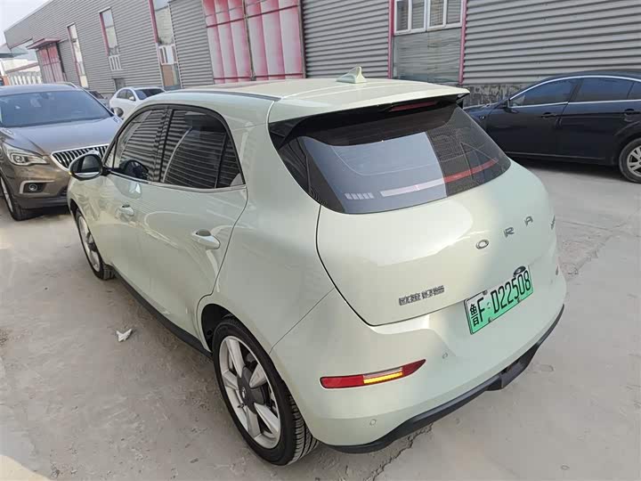 Фото 5 - Ora Good Cat (03)