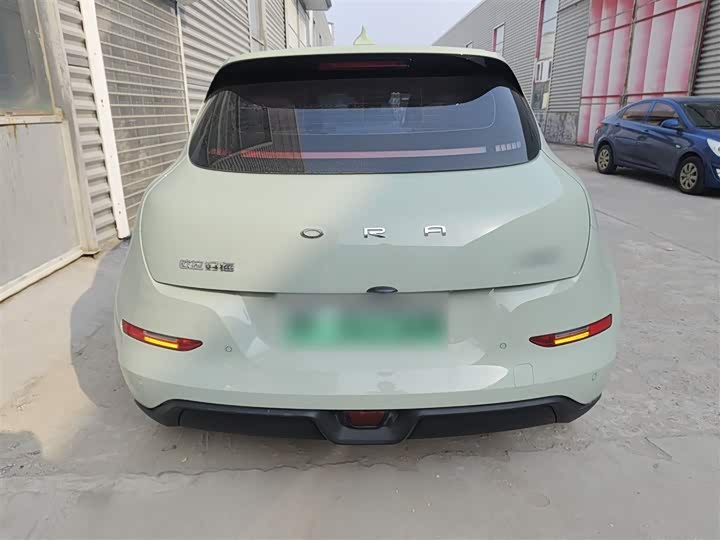 Фото 6 - Ora Good Cat (03)