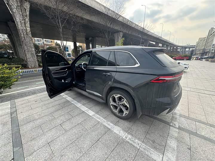 Фото 5 - Geely Monjaro