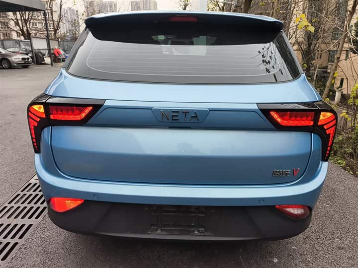 Фото 6 - Hozon V