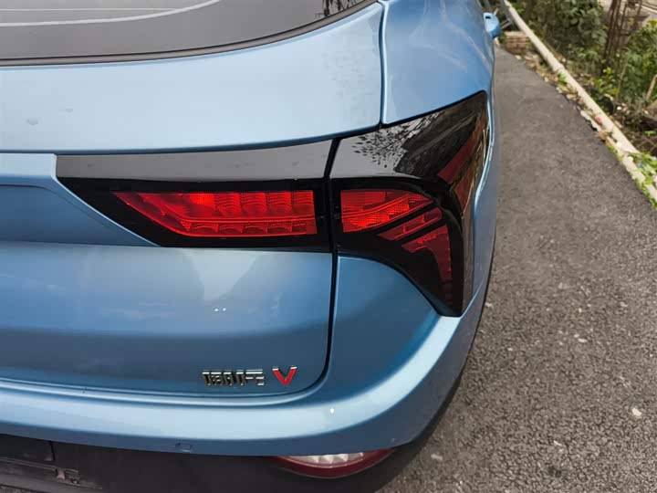 Фото 8 - Hozon V