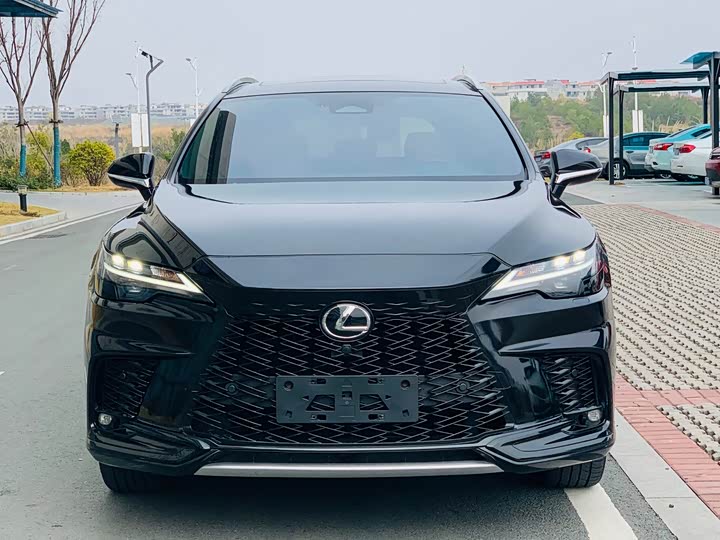 Фото 3 - Lexus RX