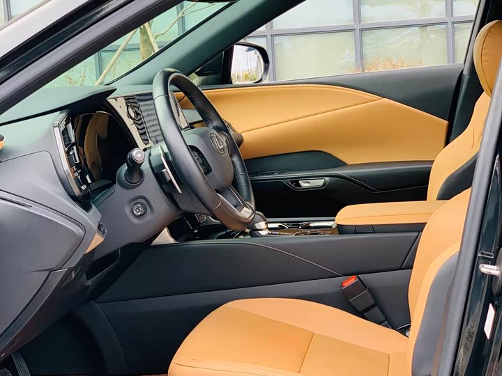 Фото 7 - Lexus RX