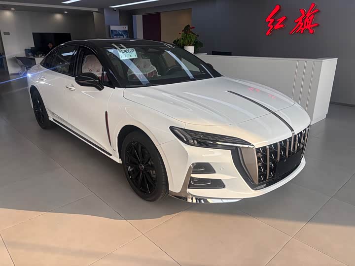 Фото 3 - Hongqi H6