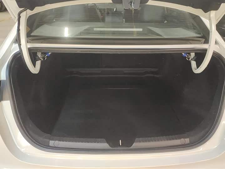 Фото 4 - GAC Trumpchi Empow R