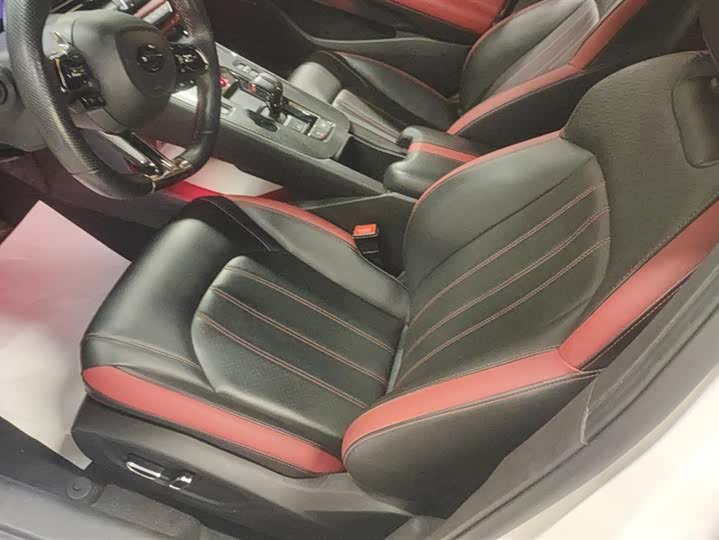 Фото 9 - GAC Trumpchi Empow R