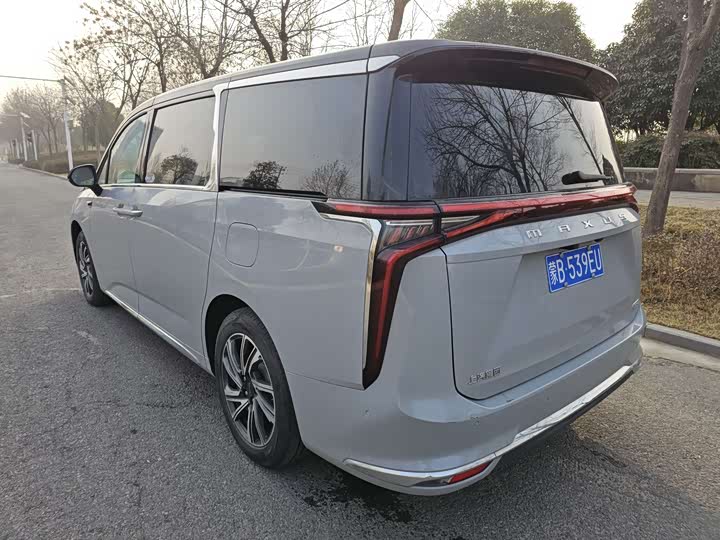 Фото 4 - Maxus G90