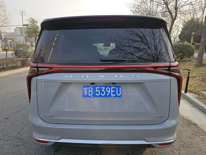 Фото 5 - Maxus G90