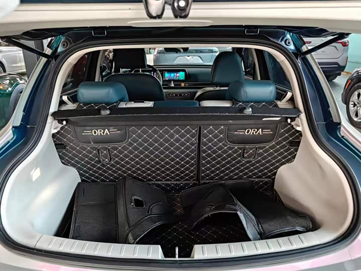 Фото 4 - Ora Good Cat (03)