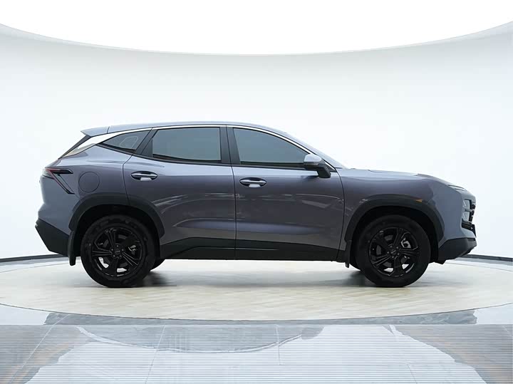 Фото 4 - Jetour Dashing