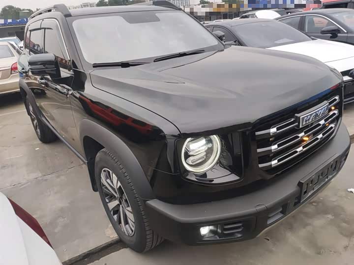 Фото 4 - Haval Dargo