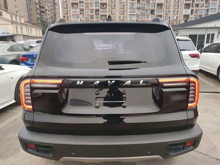 Фото 6 - Haval Dargo