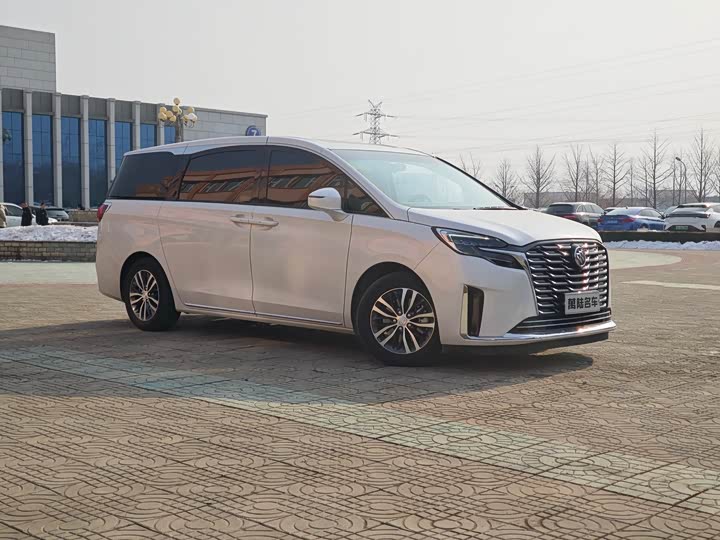 Фото 3 - Buick GL8 ES