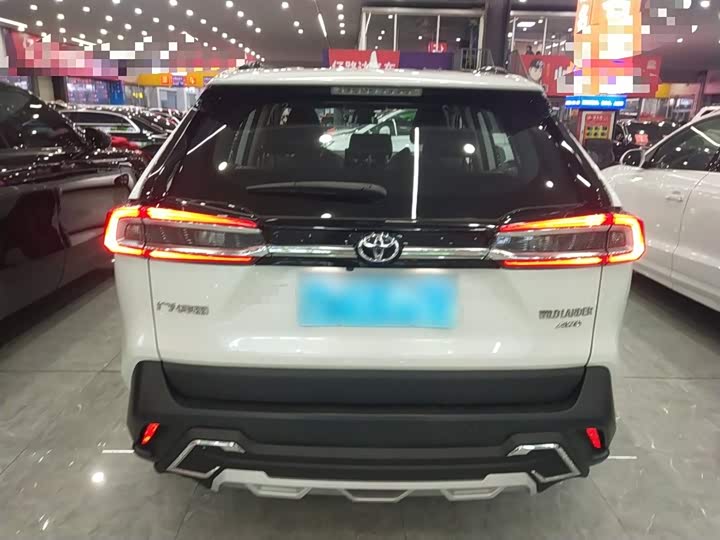 Фото 6 - Toyota Wildlander