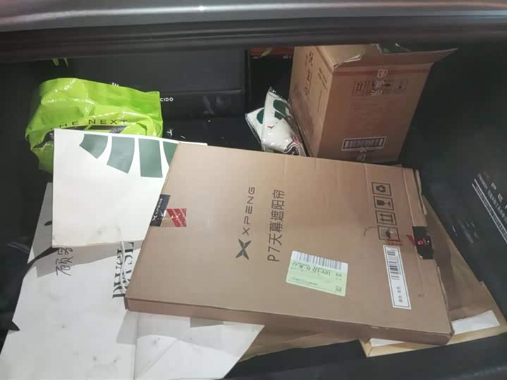 Фото 4 - XPeng P7