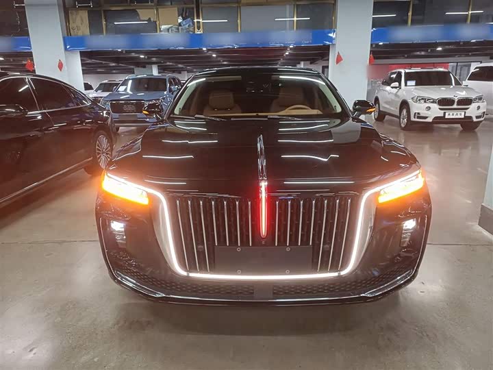 Фото 3 - Hongqi H9