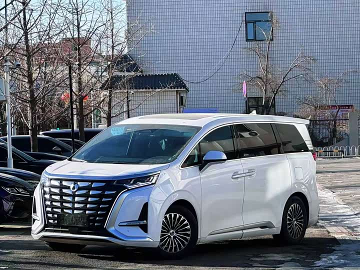 Фото 1 - Denza D9