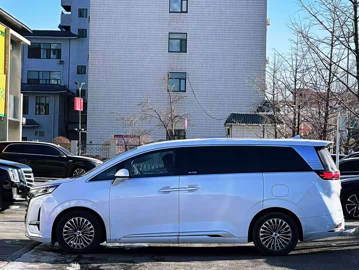 Фото 3 - Denza D9