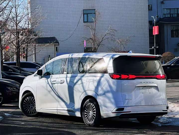 Фото 4 - Denza D9