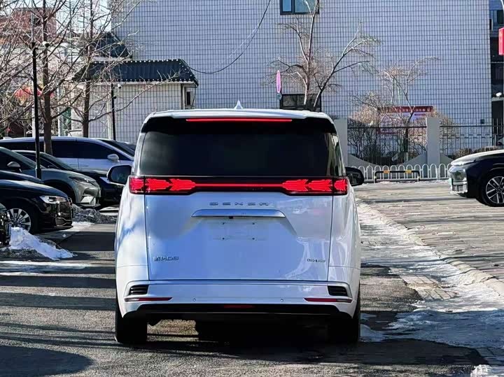 Фото 5 - Denza D9