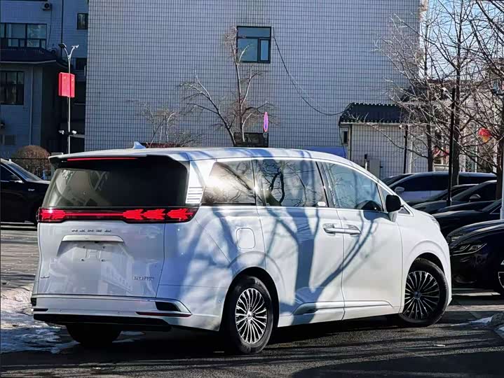 Фото 6 - Denza D9