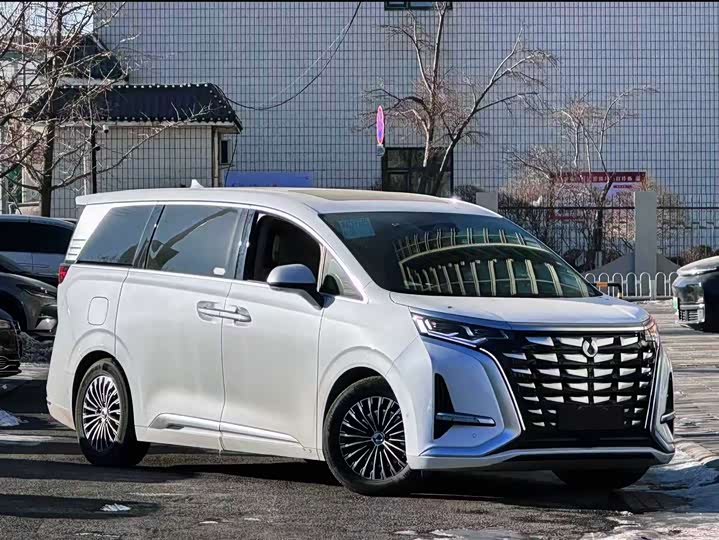 Фото 8 - Denza D9