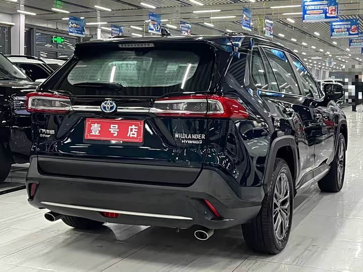 Фото 4 - Toyota Wildlander