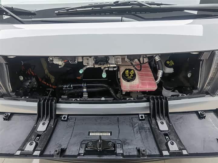 Фото 6 - Maxus Dana V1