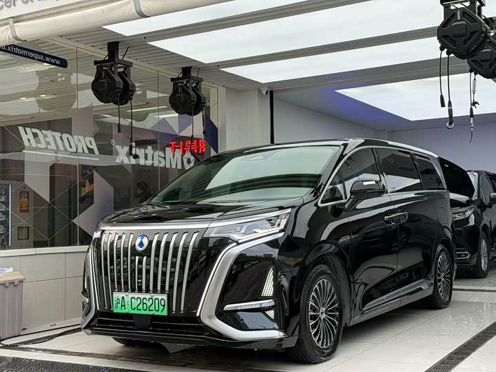 Фото 1 - Denza D9